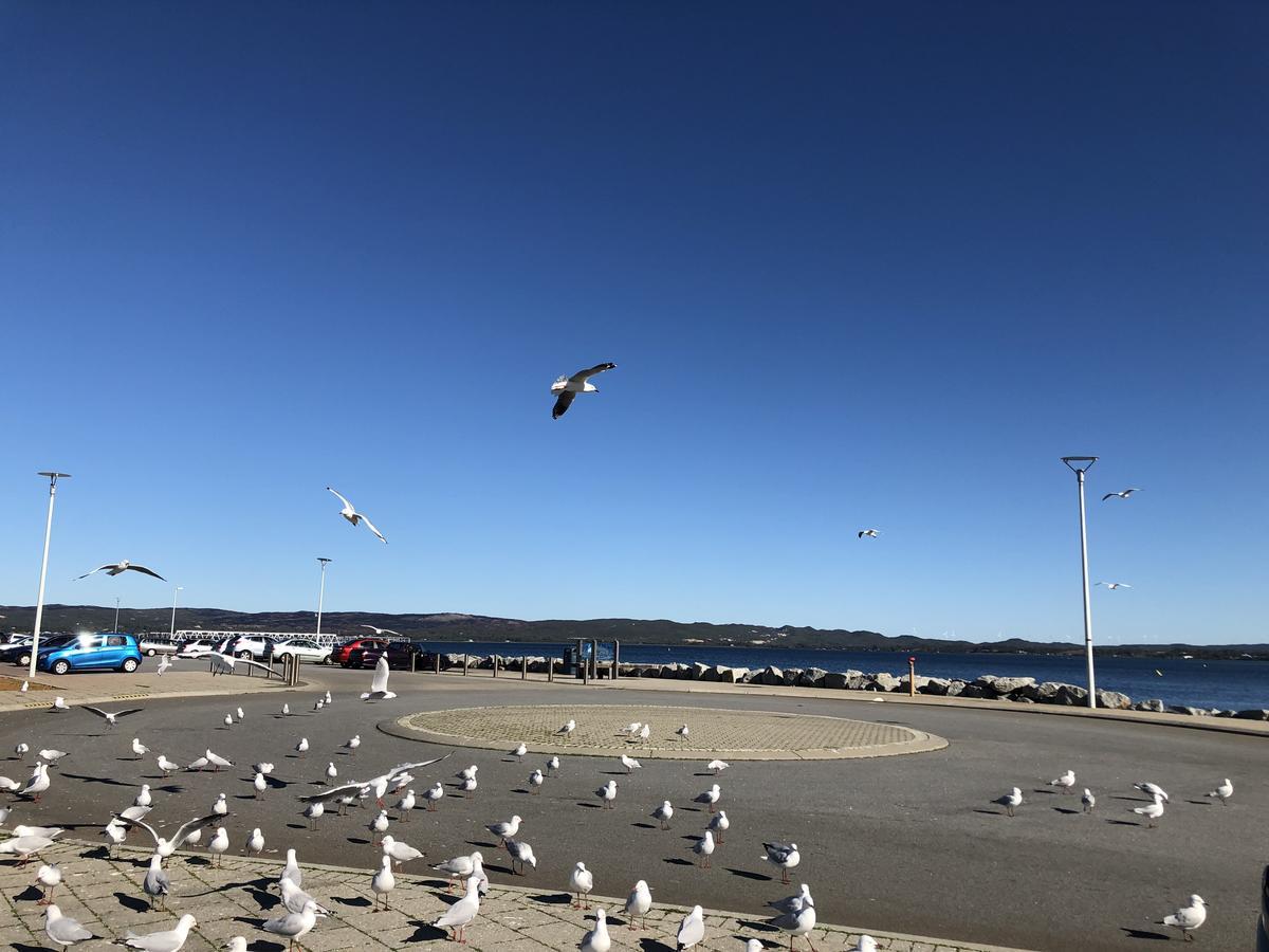 Albany Foreshore Guest House エクステリア 写真