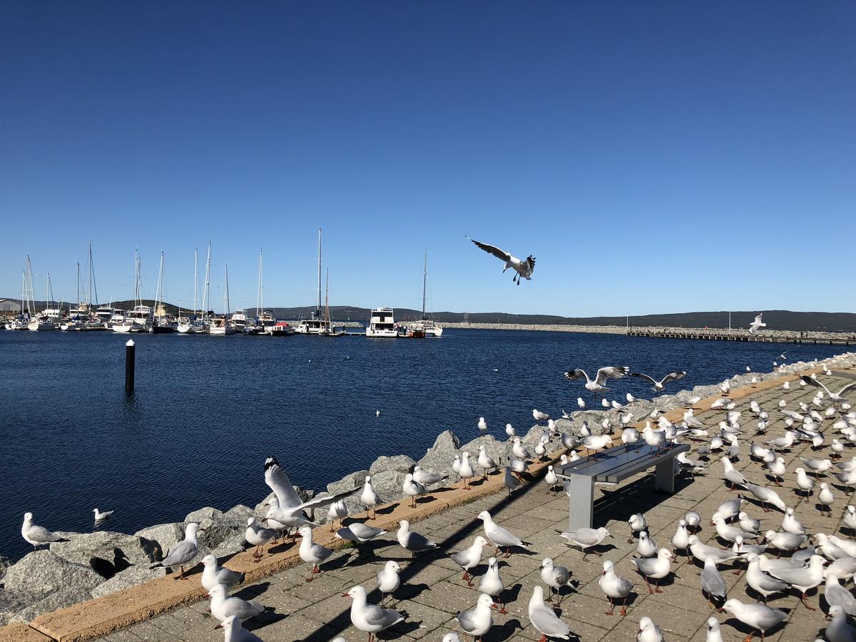 Albany Foreshore Guest House エクステリア 写真